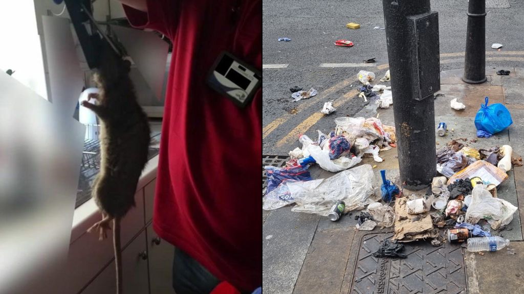 A split image showing, on the left, a person holding a dead rat by head with tongs inside a kitchen near a window. On the right, rubbish including food waste, plastic bags, drinks cans and takeaway containers is scattered around a lamppost on a pavement beside a road.