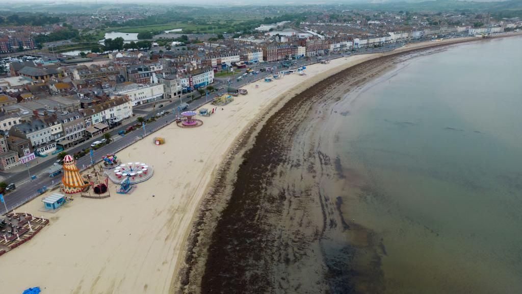 Seaweed on Weymouth beach