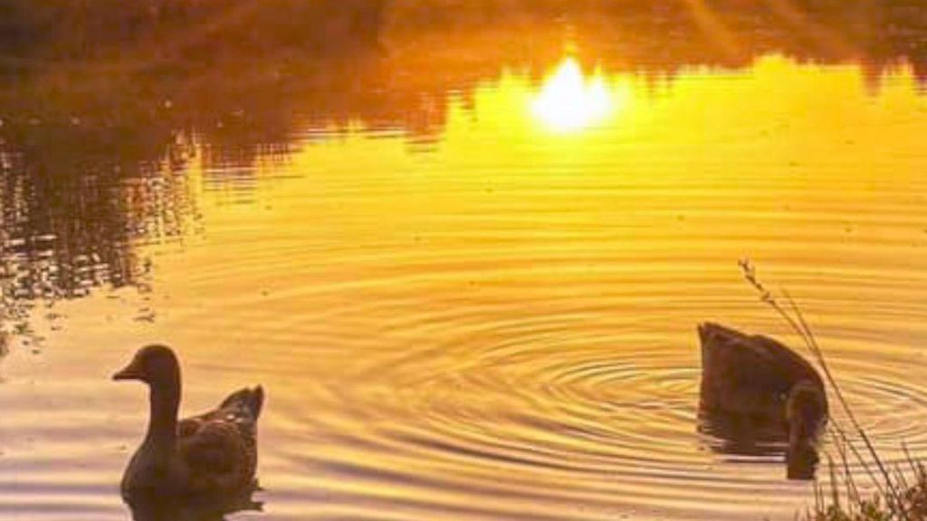 Woorgreens Lake and Nature reserve near Cinderford