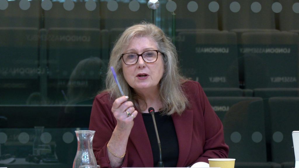 Conservative Assembly member Susan Hall holding a pen and speaking into a microphone at a London Assembly meeting. She has long grey hair and glasses and is wearing a dark red blazer.