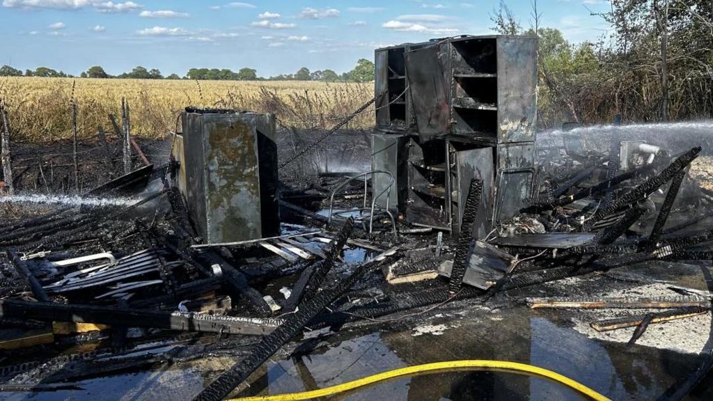 Horse dies in Harlow, Essex, after muck fire spreads to stables - BBC News