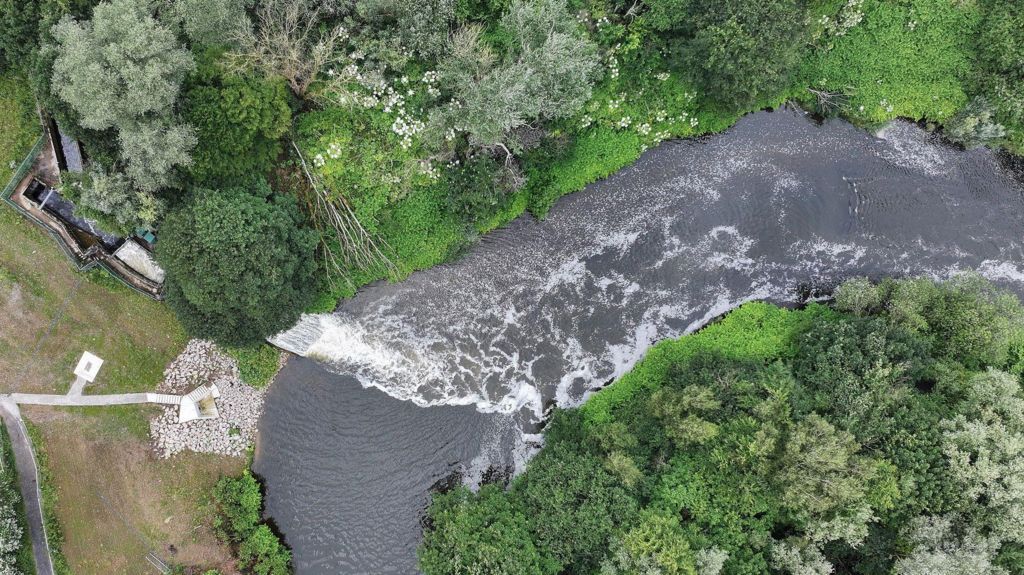 An aerial view of treated effluent flowing from the left to the right, into the River Irwell from the Bolton Wastewater Treatment Works. The river is curved in the shape of an "n", and on the right is a woodland, and to the left a bank of grass with a path to the water cut out of it.