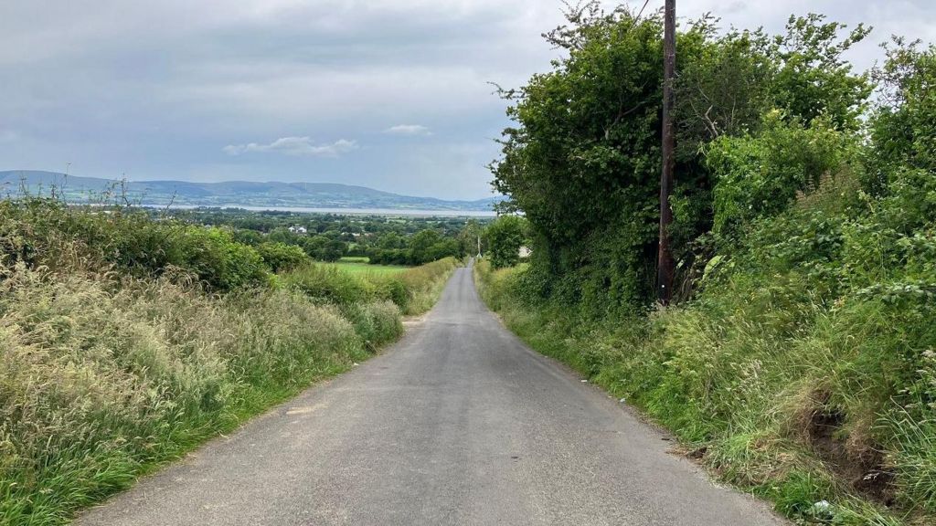 The Ballygudden Road running towards the village of Eglinton with Lough Foyle in the background, and with long grass growing on either side of the road 