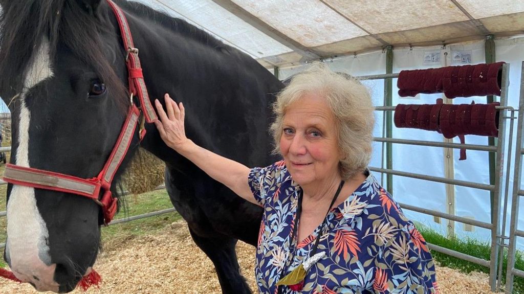 Angela Kingsnorth with Frankie the shire horse a black horse with a white flash