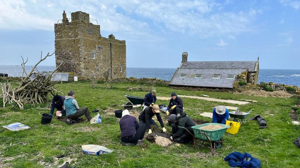 Volunteers on an island called Inner Farne digging burrows for seabirds