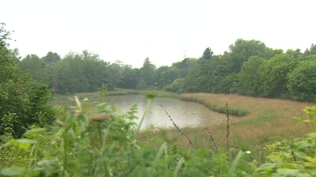 A pond in West Bromwich