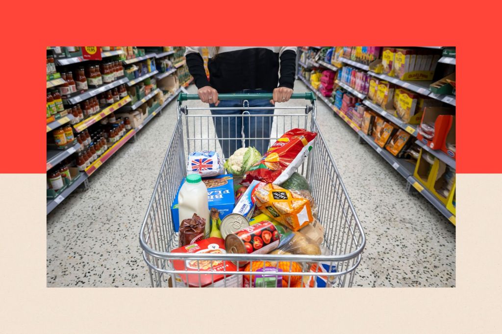 A person with a shopping trolley full of groceries in a supermarket aisle 
