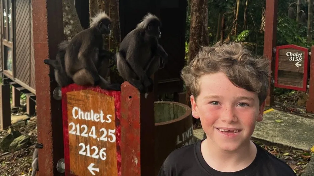Alfie with two monkeys behind him to the left