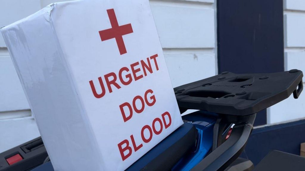 A white box wit red writing that says "URGENT DOG BLOOD" that will house the blood during deliveries.