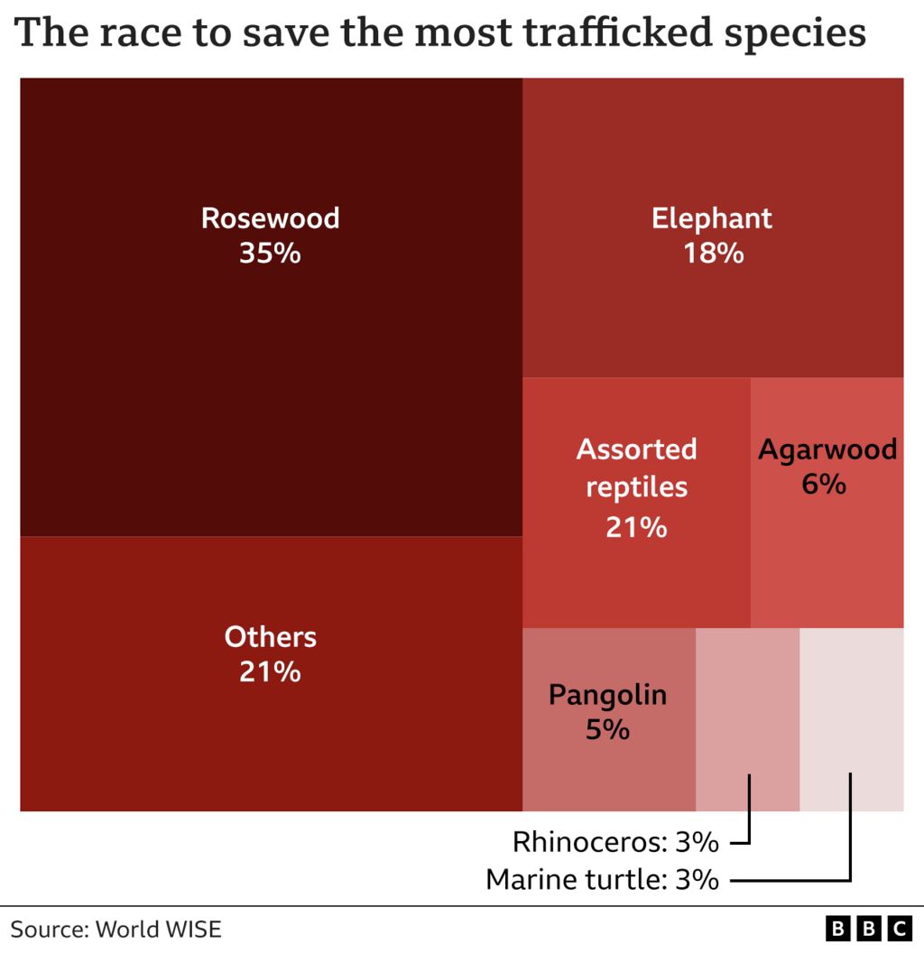 A chart showing the most trafficked species