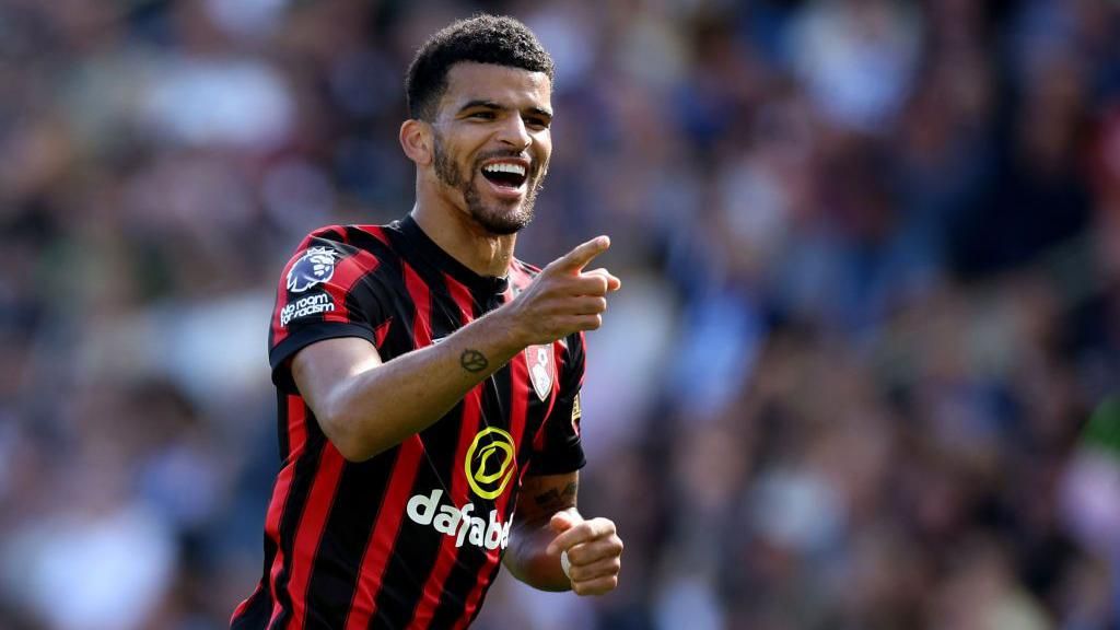 Bournemouth: 'Solanke will be difference between staying up or going down'  – BBC Sport