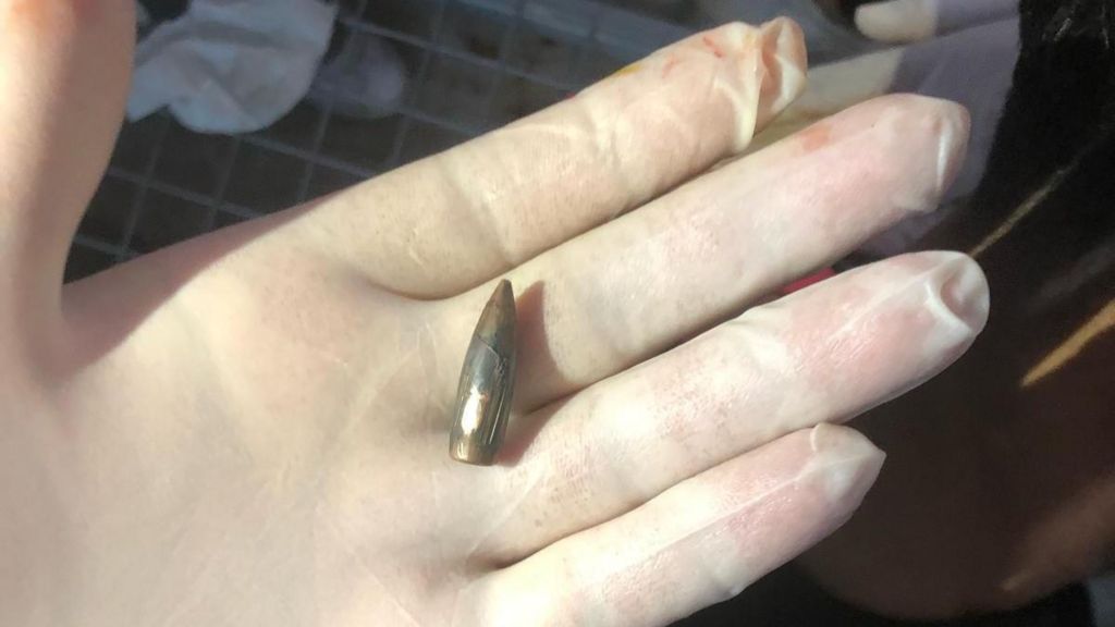 Bullet shell being held in a gloved hand