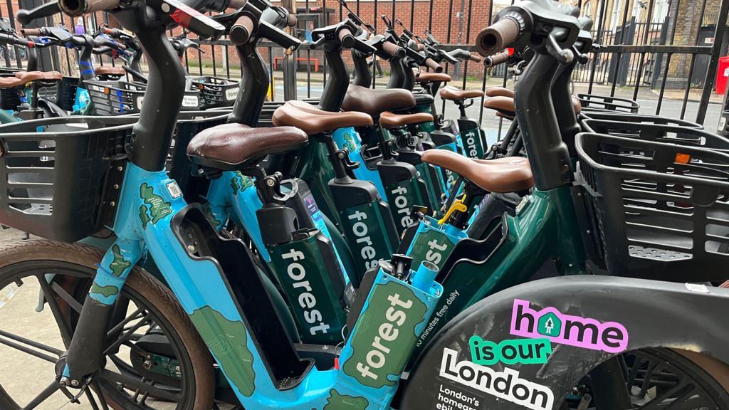 A line of Forest bikes 