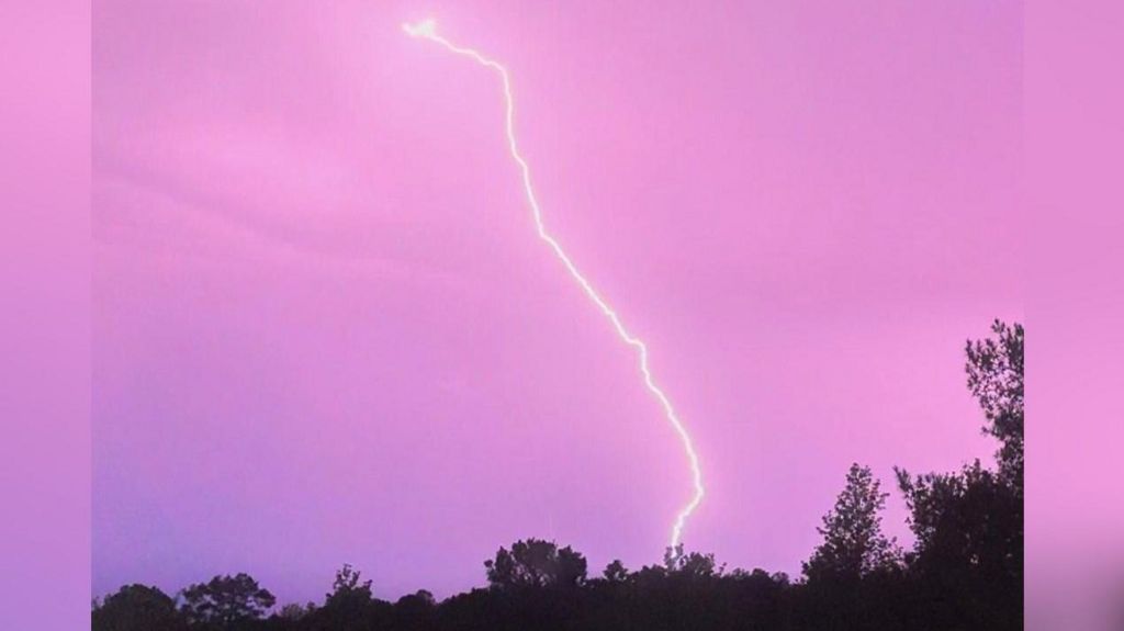 A single bolt of lightning in a pink sky above a line of trees