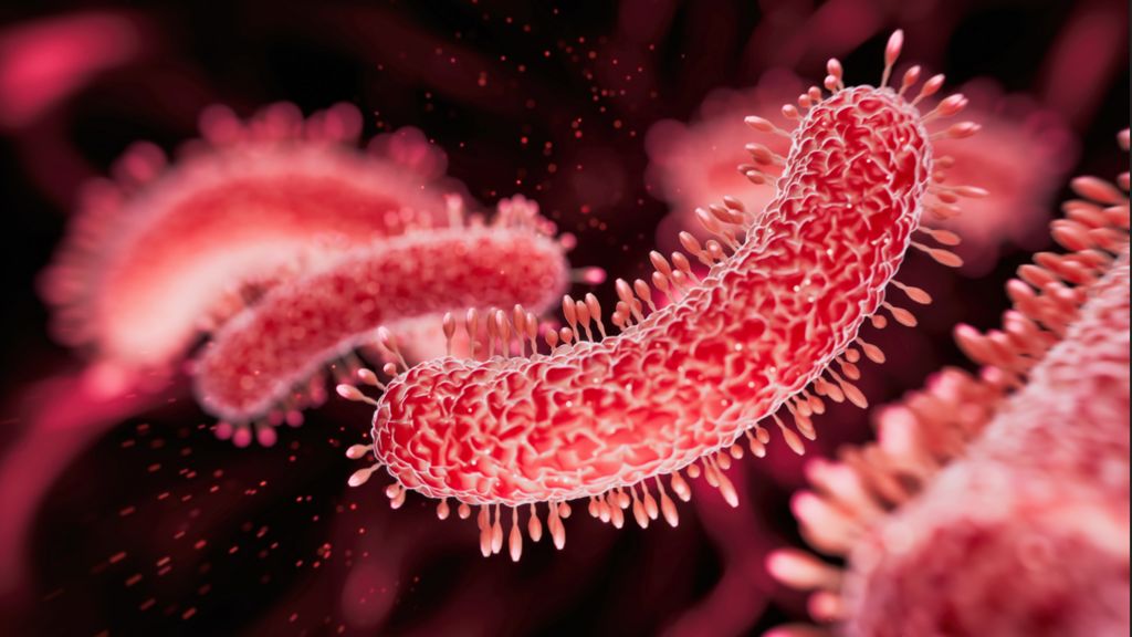 Bacteria medical illustration showing red worm like shapes as seen under a microscope