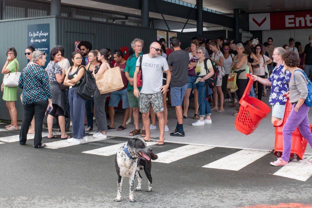 A dog and a large crowd of people stand in line outside a supermarket in Noumea