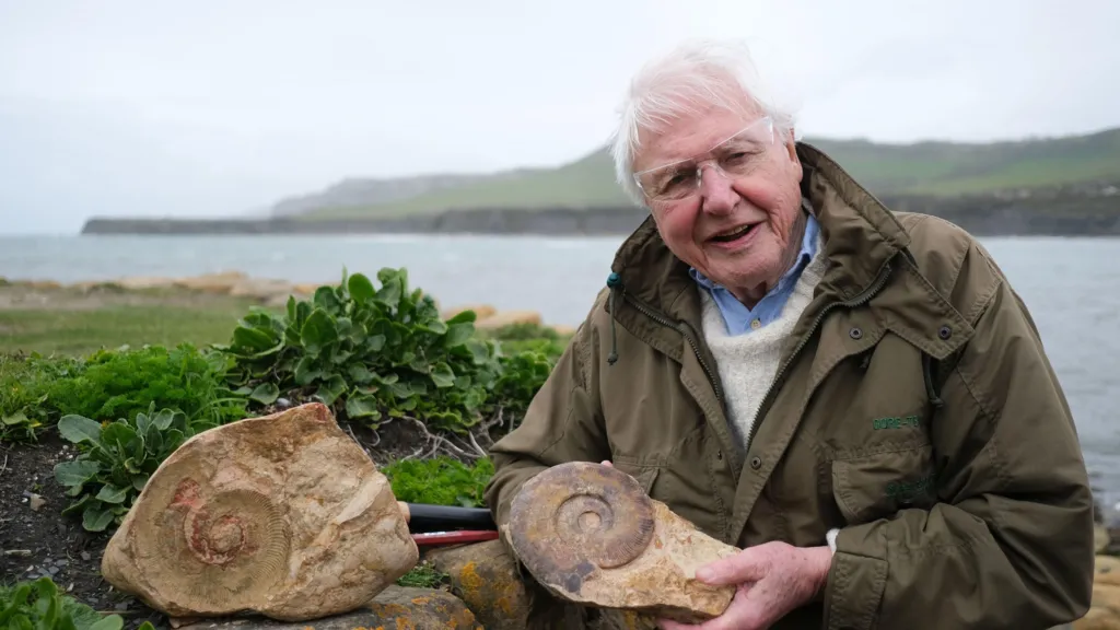 David Attenborough sitting in a meadow surrounded by green fields 