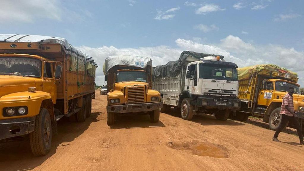 Aid trucks with relief material for Sudan's Darfur region, at a location given as the border of Chad and Sudan.