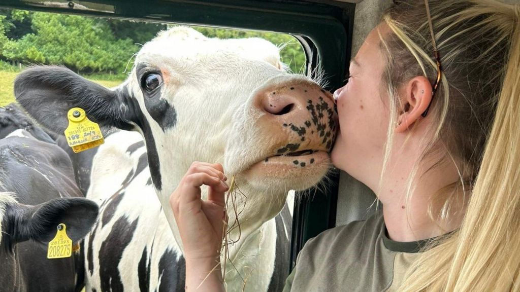 A young woman with blonde hair sitting in a car stroking a cow that is poking its head through the window