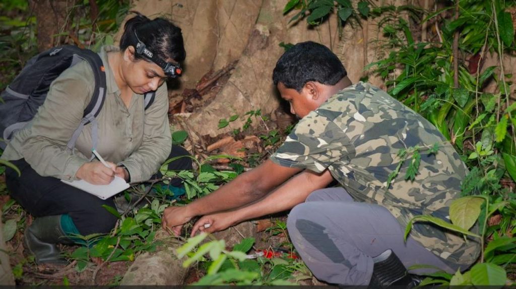 Frog researchers in Andamans