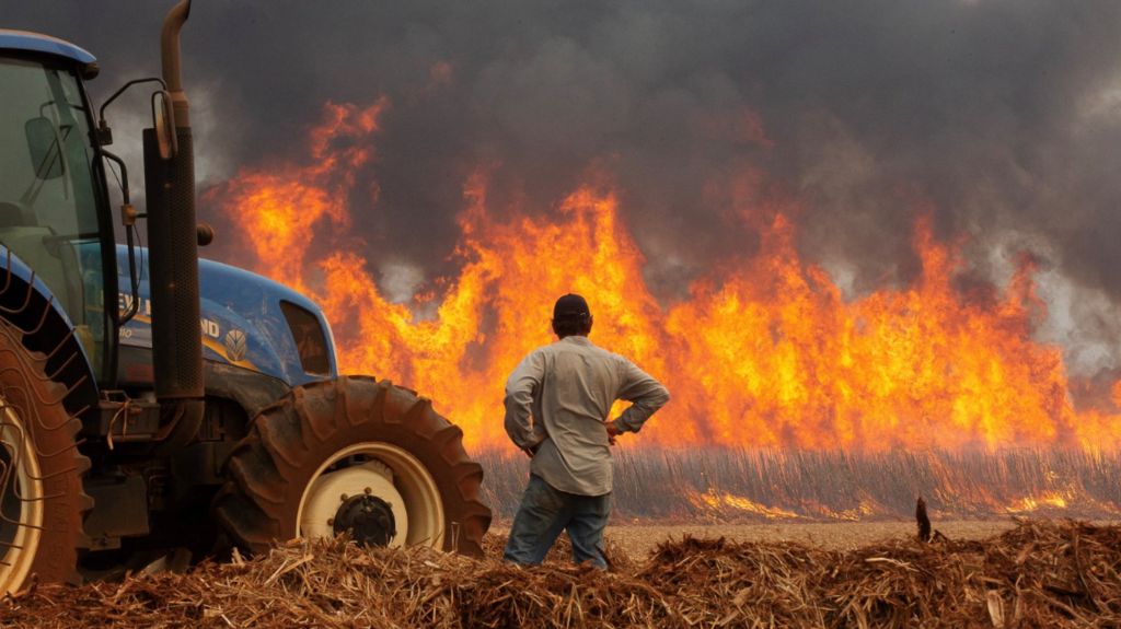 A farmer watches on as a fire at a sugar-cane plantation near Dumon, rages