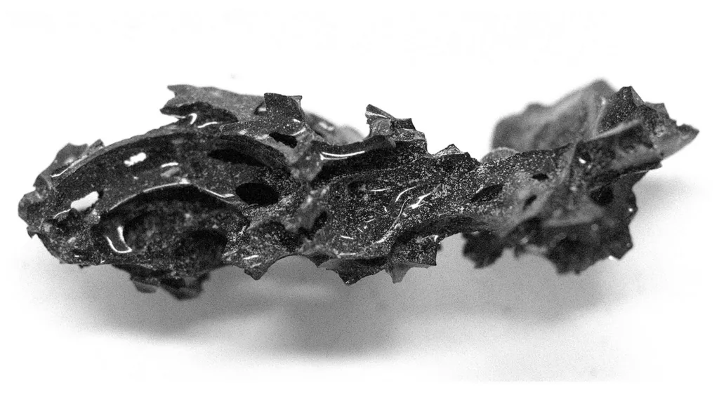 Thumbnail of Man's brain turned to glass by Vesuvius volcano ash cloud