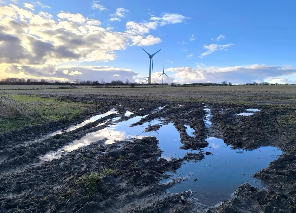 Blue sky over a water-logged field. There are a couple of wind turbines in the background