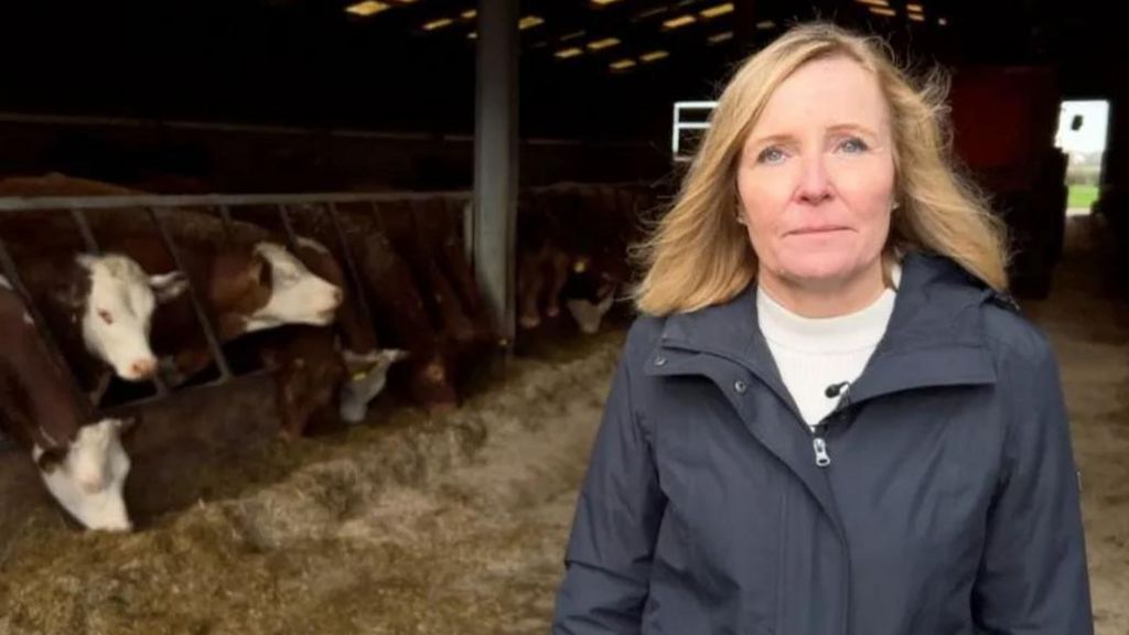 Liz Webster standing in a barn full of cattle
