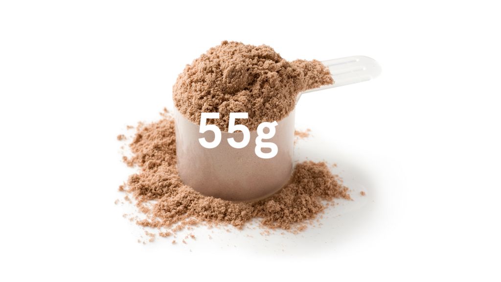 protein powder