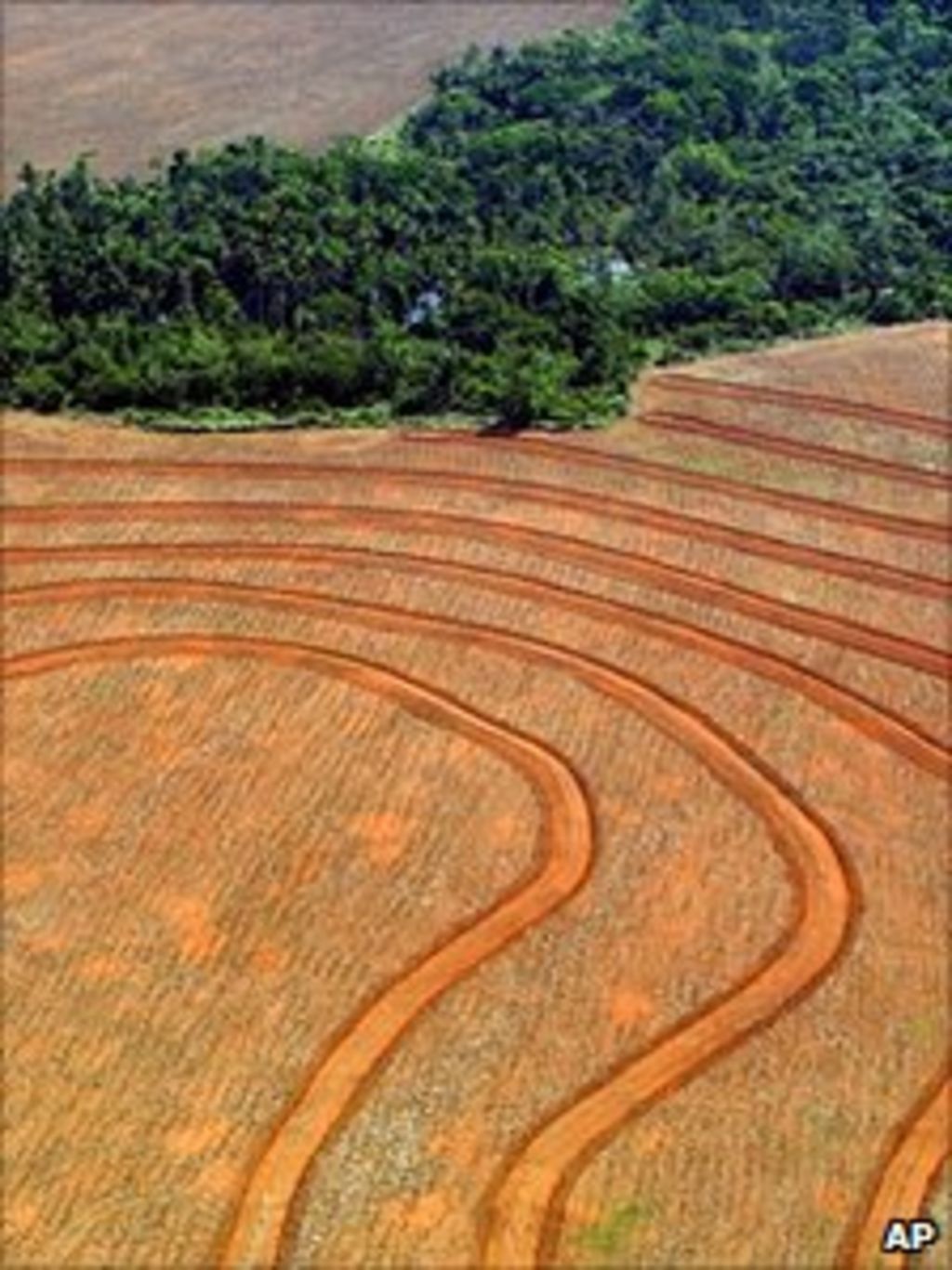 model-shows-waves-of-forest-degradation-bbc-news