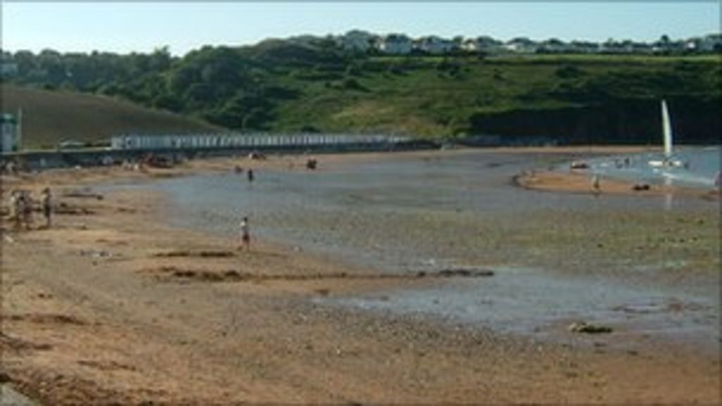 Metal detector finds hand grenade on Devon beach BBC News