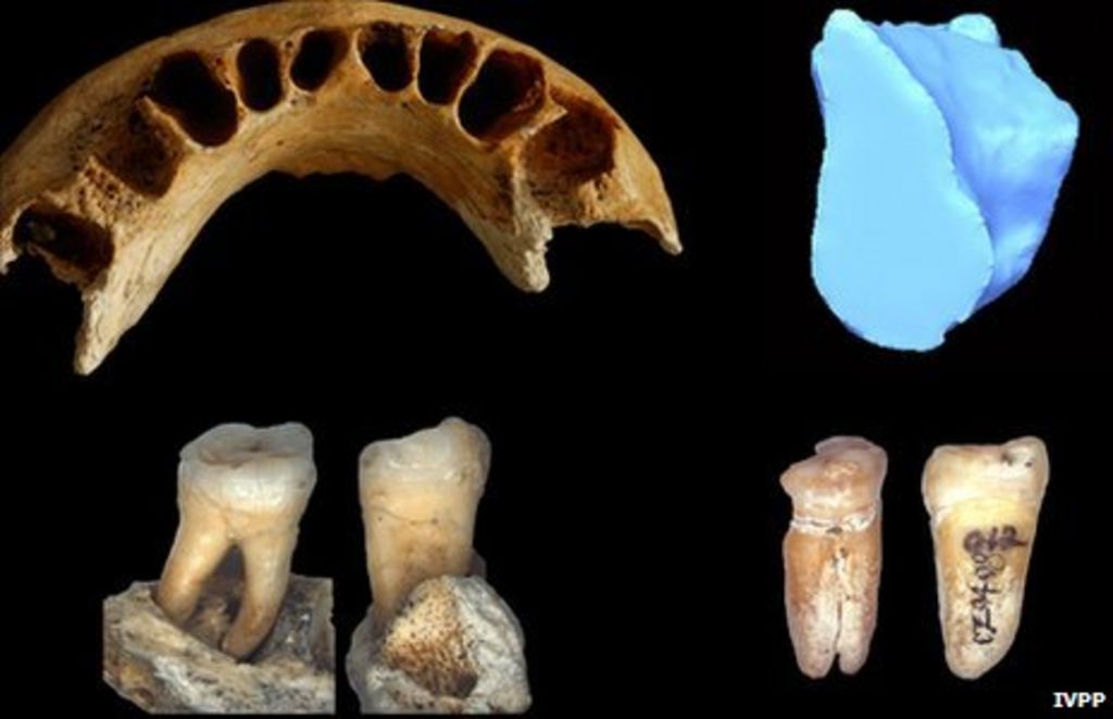 Fossils of small bodied Human in Palau.