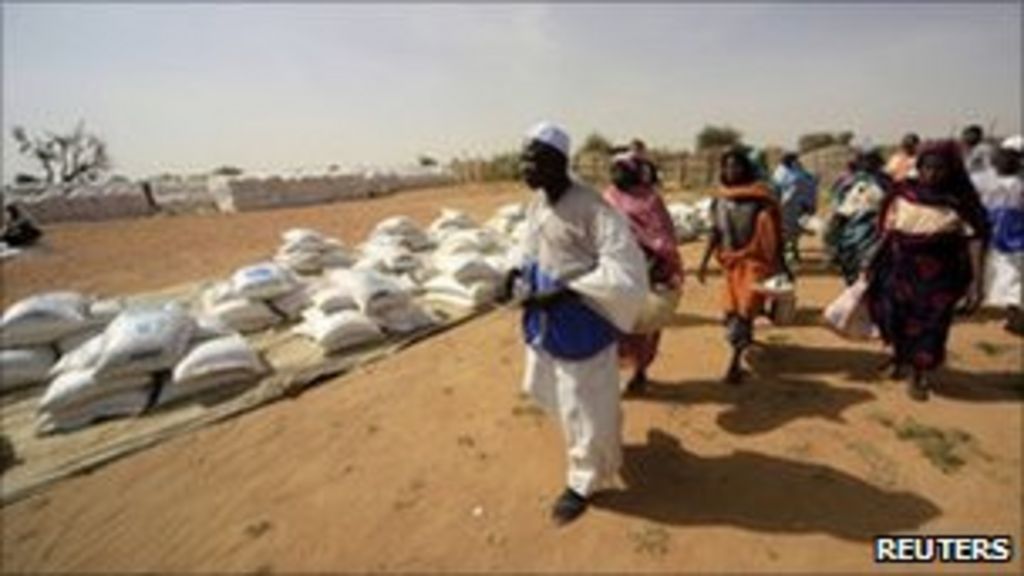 UN receives Darfur weapons report