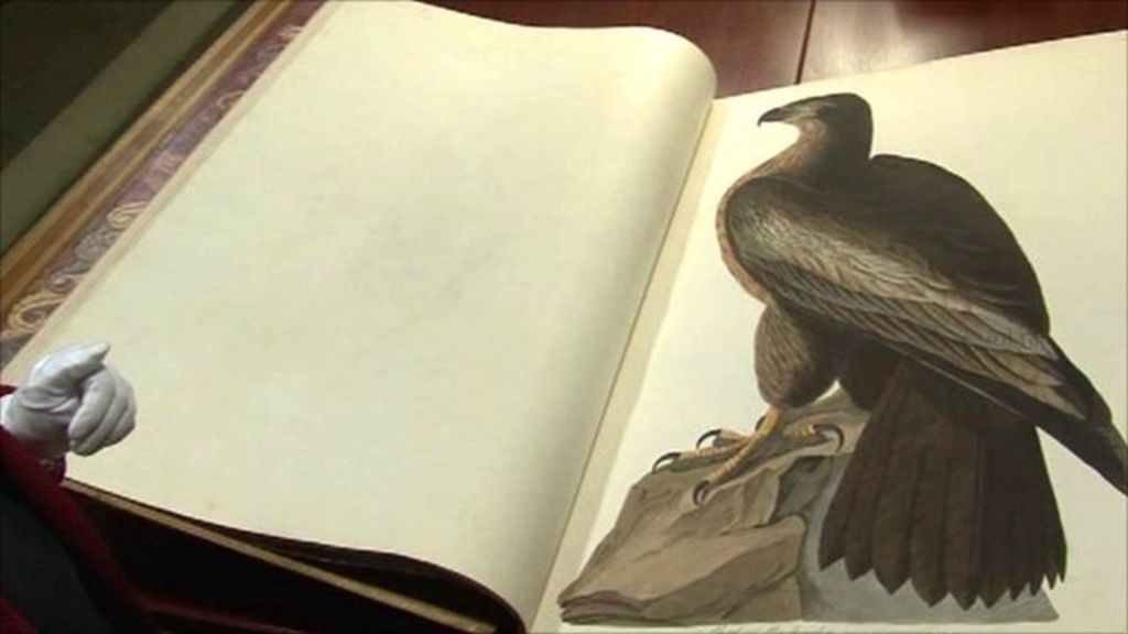 Inside Audubon's Birds, the world's 'most expensive' book BBC News