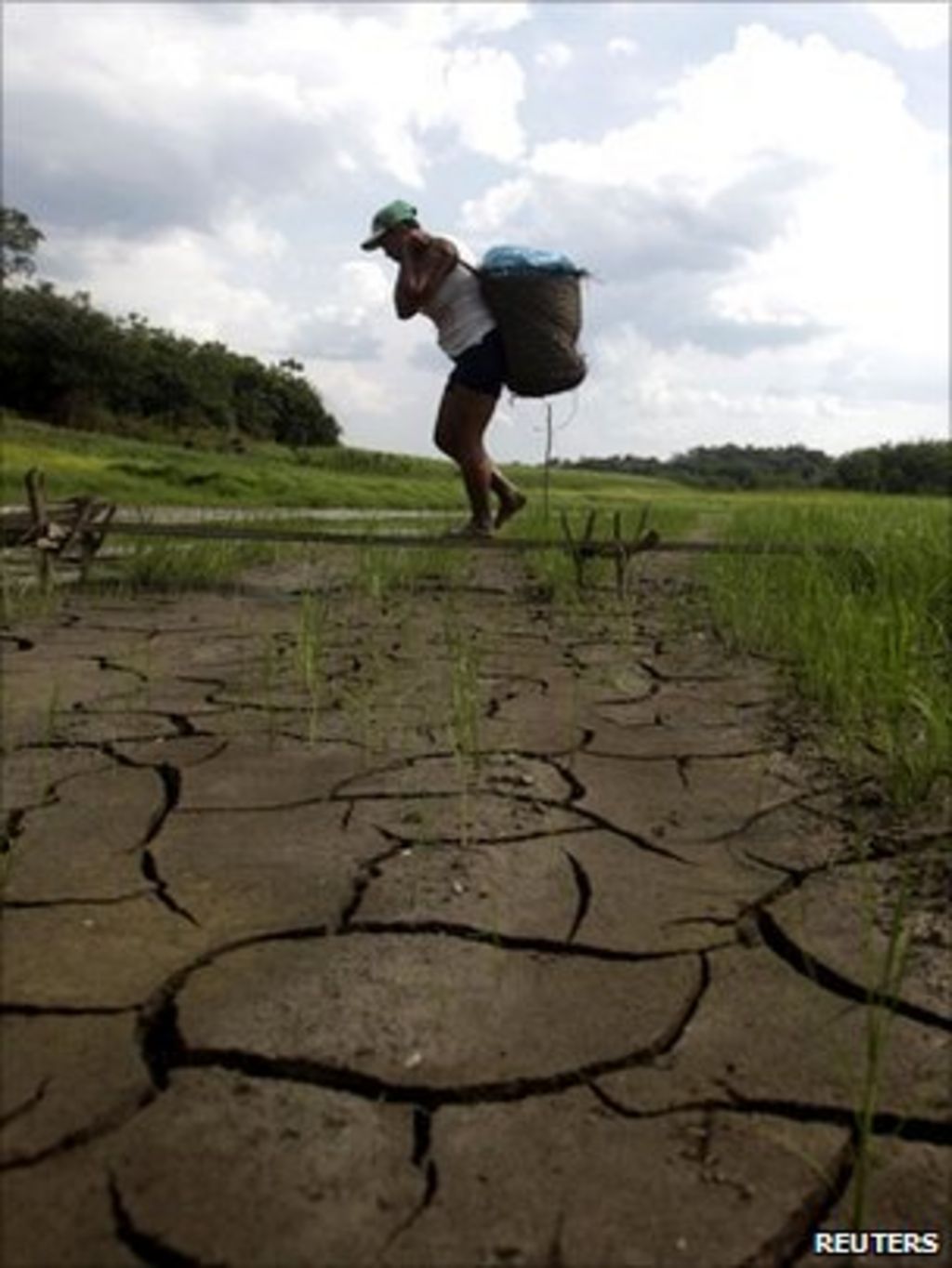 Amazon Drought 'severe' In 2010, Raising Warming Fears - BBC News