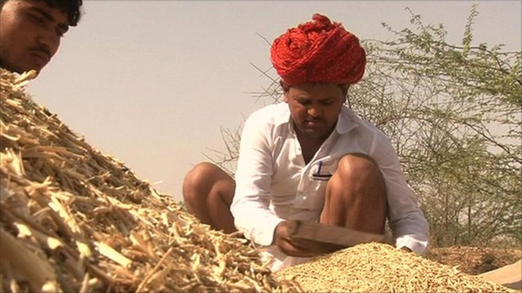 Bringing the internet to rural India's business community - BBC News