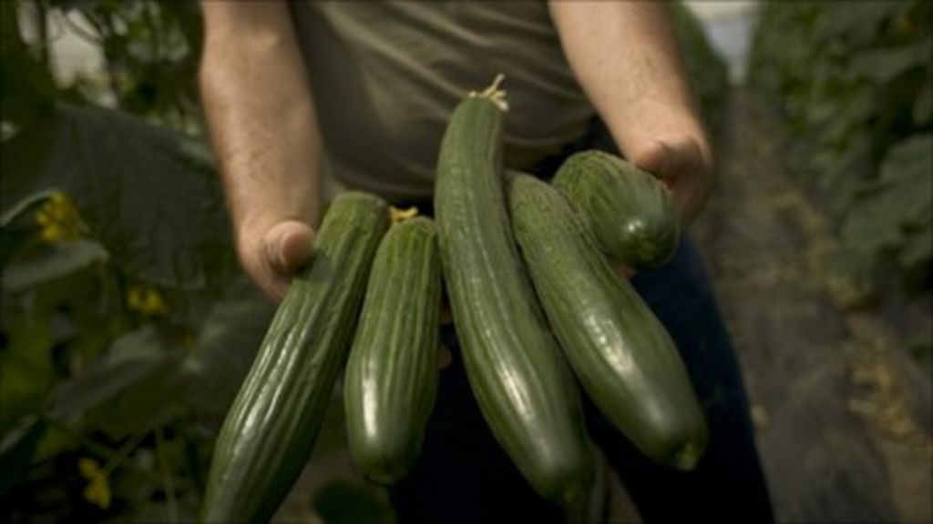 Germany Ten Die From E Coli Infected Cucumbers Bbc News