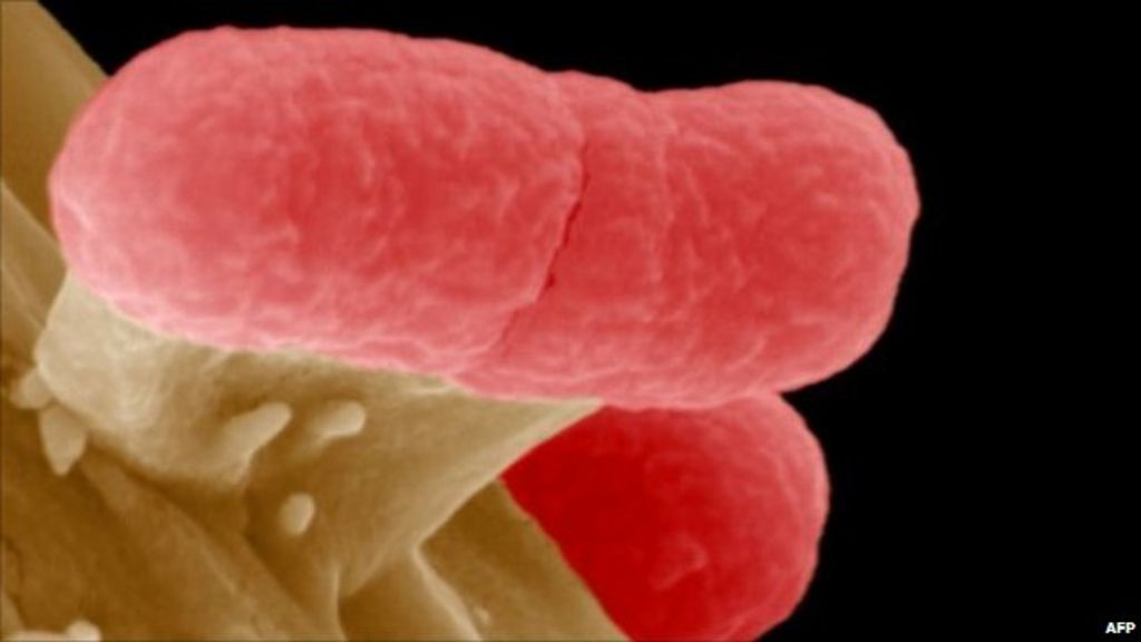 Outbreak is new form of E. coli BBC News