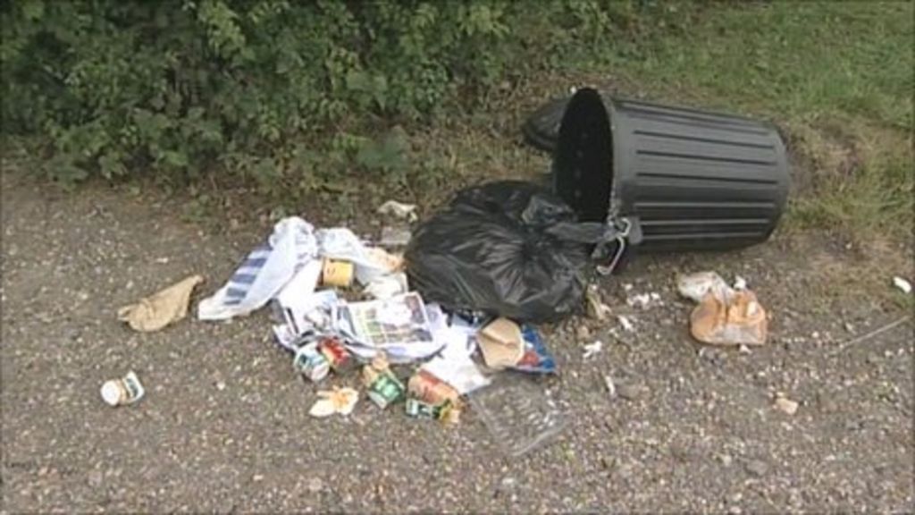 Colchester Borough Council's 'wheelie bin refusal' BBC News