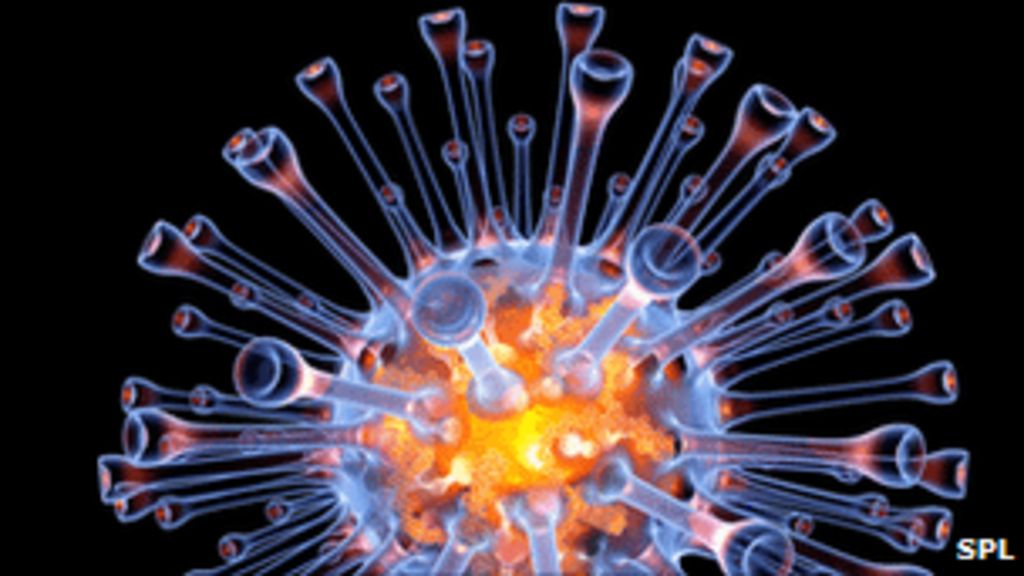 'Super antibody' fights off flu BBC News