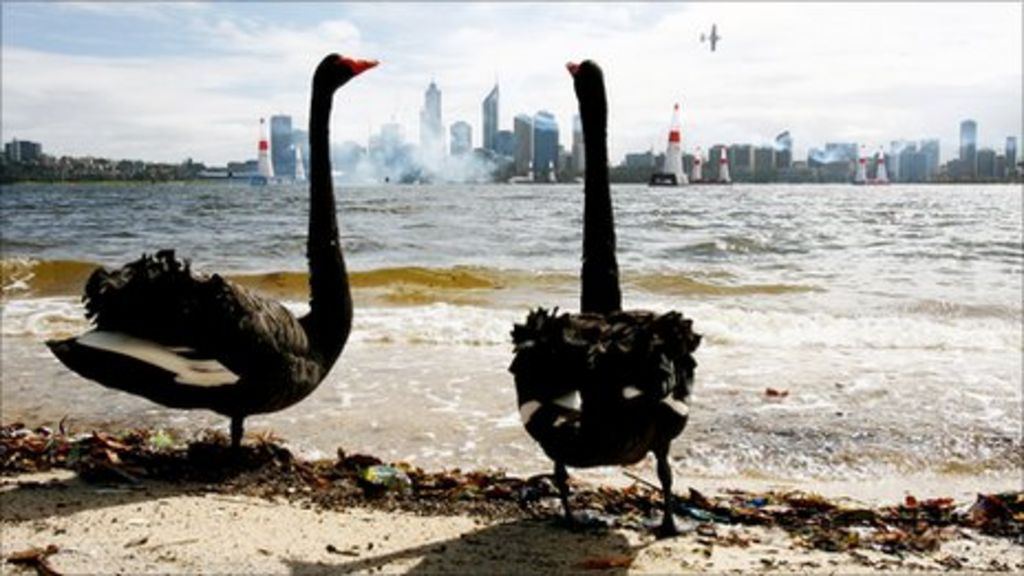 beundre Alert sådan Black swans' busting IT budgets - BBC News