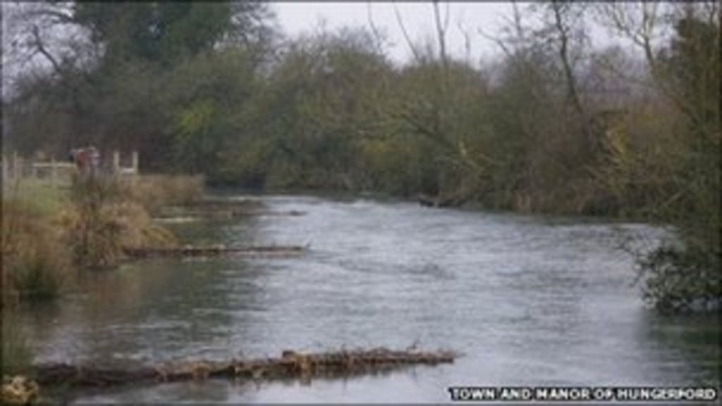 Watercress thieves target River in Hungerford BBC News