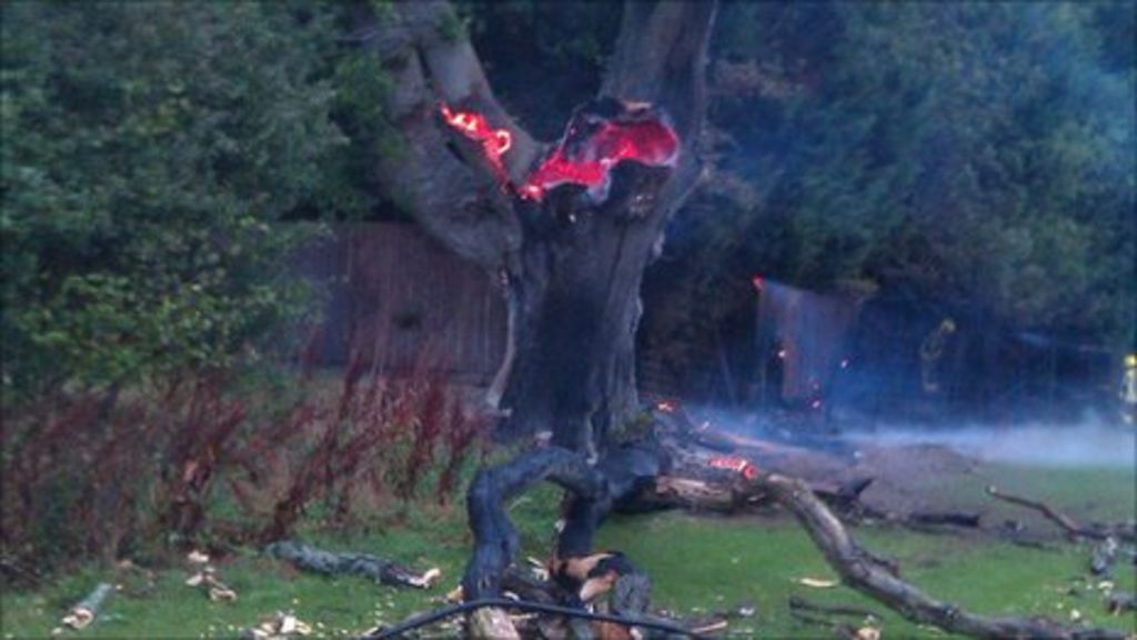 Oak Tree Near Ross On Wye Struck By Lightning Bbc News 