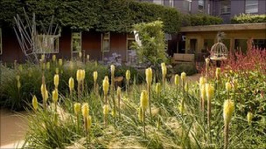 Time Garden For Frimley Park Hospital Patients Bbc News