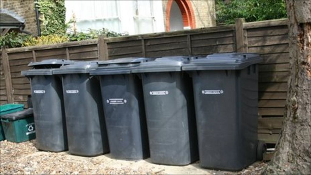 North East Lincolnshire charge for garden bin collection BBC News