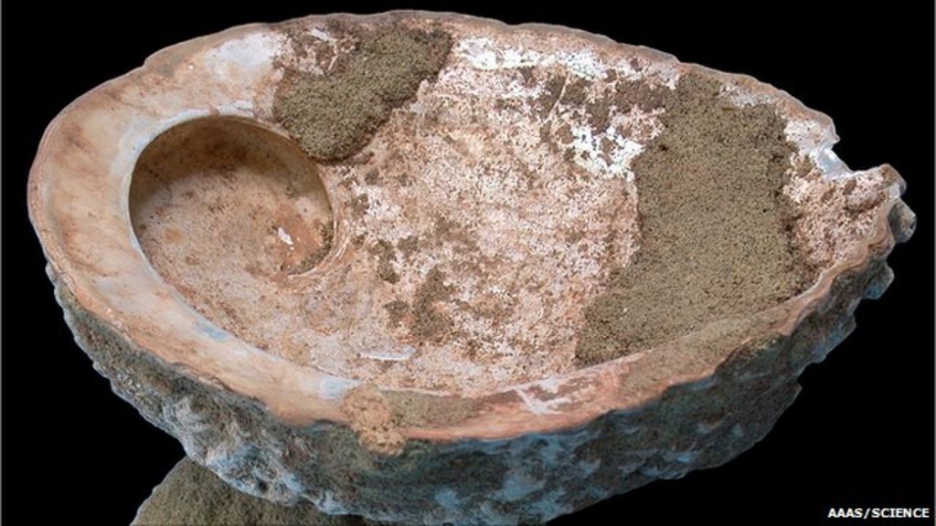 Ancient 'paint factory' unearthed BBC News