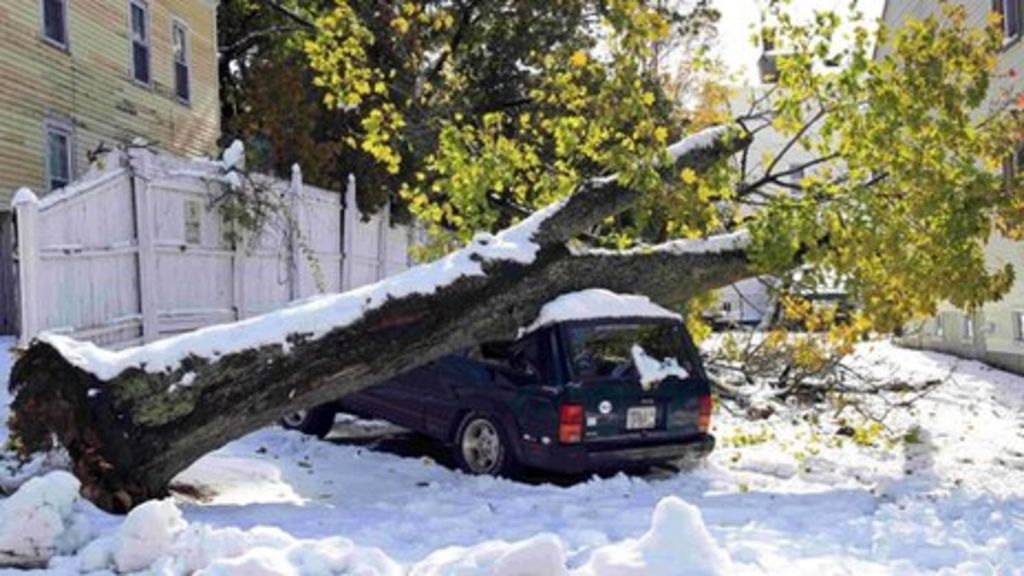 Snowstorm hits US East Coast killing at least nine - BBC News