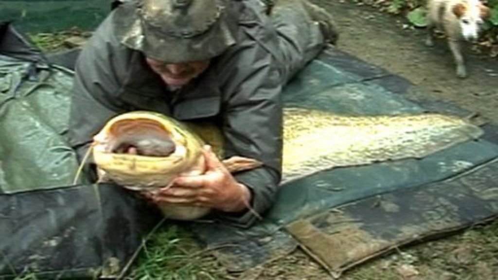 Hundreds of fish moved from Devon lake - BBC News