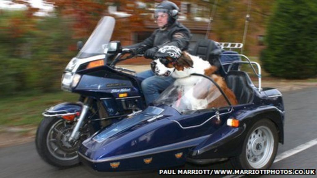 street bike sidecar