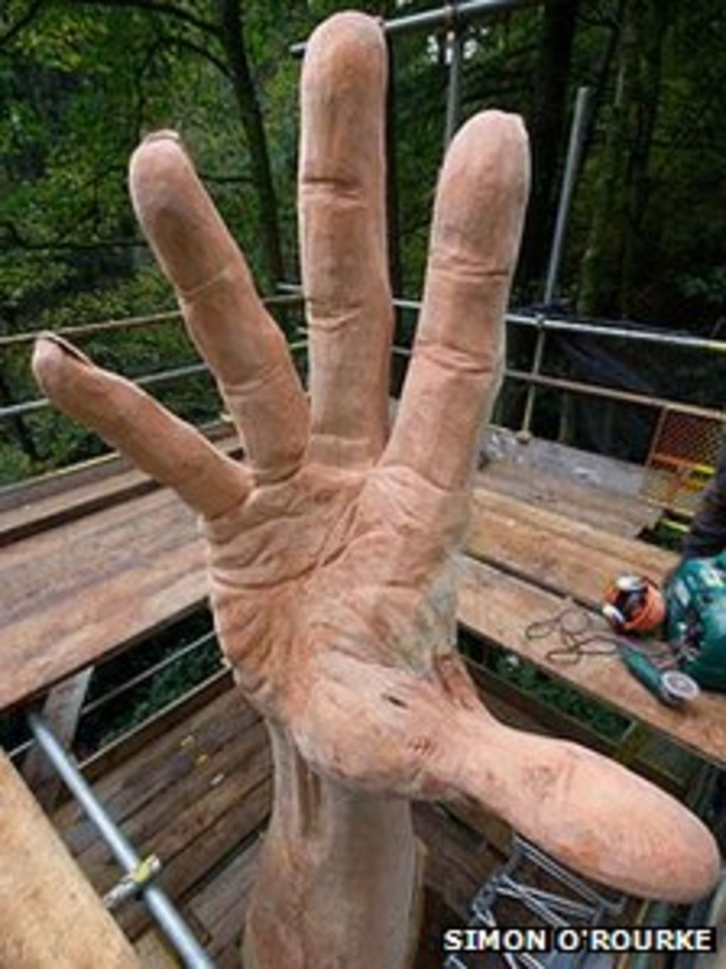 lake-vyrnwy-tallest-tree-carved-into-giant-hand-bbc-news